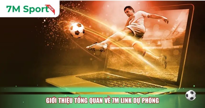 Giới thiệu tổng quan về 7M link dự phòng